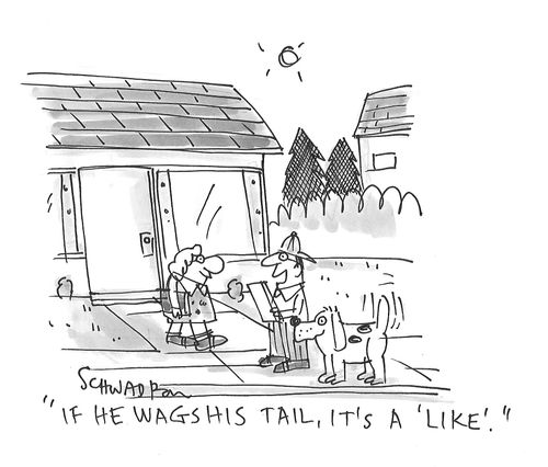 "If he wags his tail, it's a 'Like'."