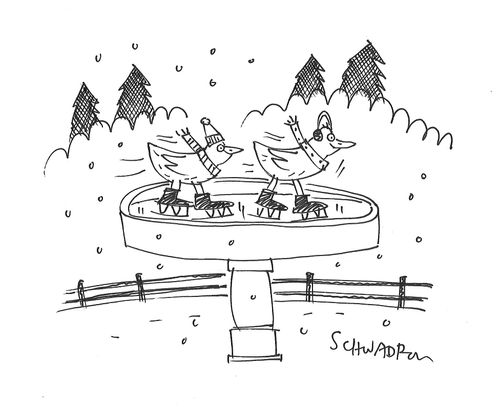 Birds skate in winter
