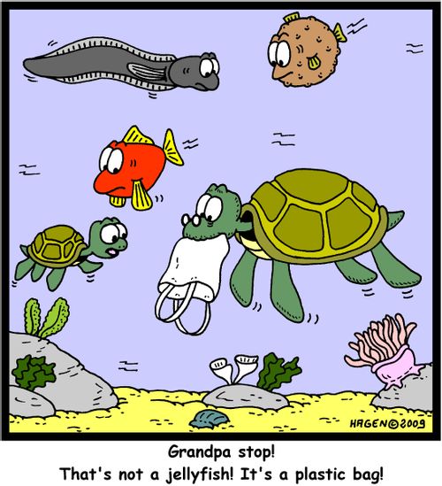 'Grandpa stop! That's not a jellyfish! It's a plastic bag!'