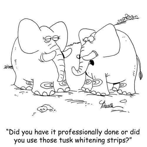 'Did you have it professionally done or did you use those tusk whitening strips?'