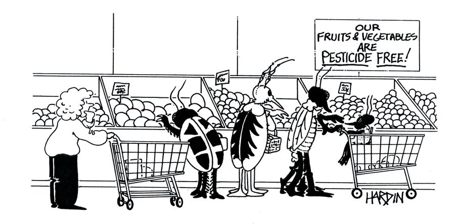 Our fruits and vegetables are pesticide free!