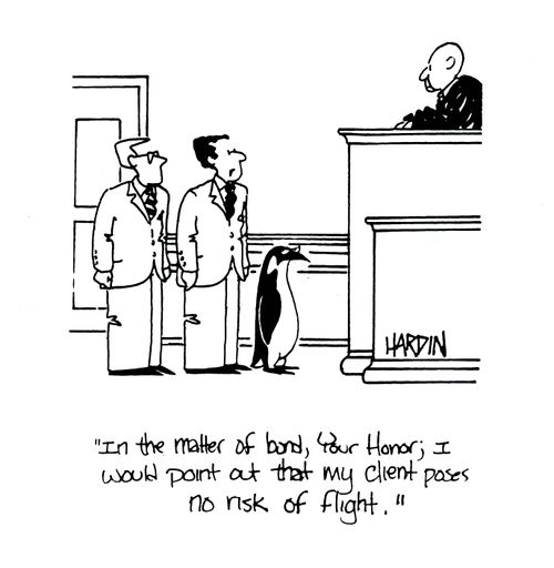 'In the matter of bond, Your Honor; I would like to point out that my client poses no risk of flight.'
