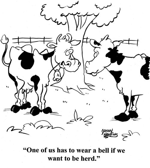 Cow to other: 'One of us has to wear a bell if we want to be herd.'