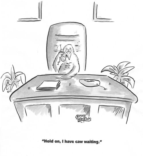 Bird on phone: 'Hold on, I have caw waiting.'