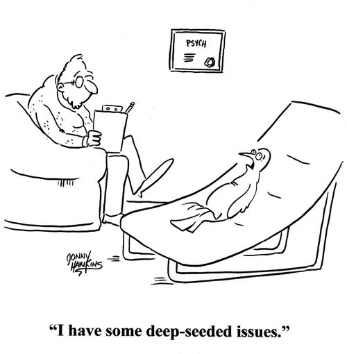 Bird to psychologist: 'I have some deep-seeded issues.'