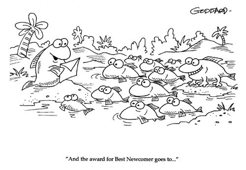 'And the award for Best Newcomer goes to...'