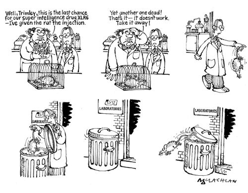 Rat fools scientists after being given 'super intelligence drug'.