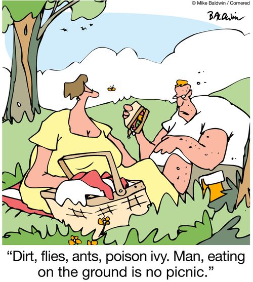 "Dirt, flies, ants, poison ivy. Man, eating on the ground is no picnic."