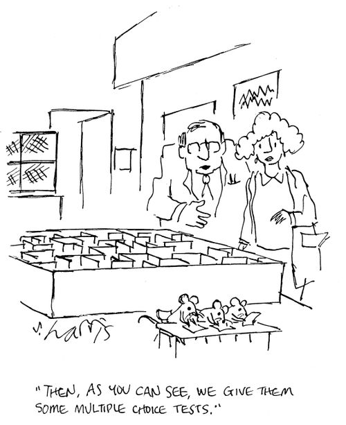 'Then, as you can see, we give them some multiple choice tests.'