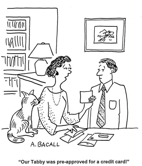 'Our tabby was pre-approved for a credit card!'