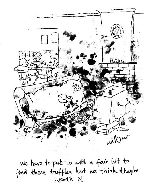 'We have to put up with a fair bit to find these truffles, but we think they're worth it.'