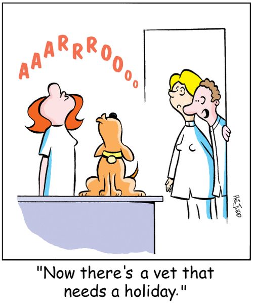 'Now there's a vet that needs a holiday,'