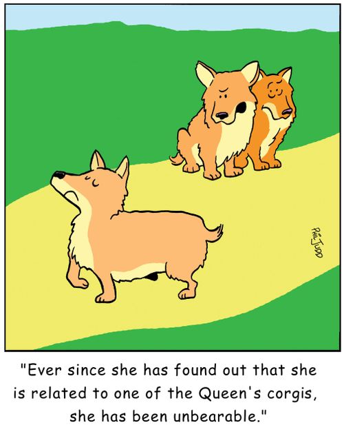 'Ever since she has found out that she is related to one of the Queen's corgis she has been unbearable.'