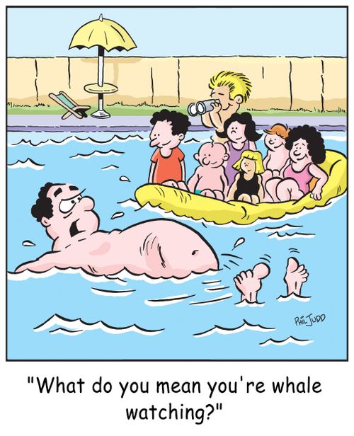 'What do you mean you're whale watching?'