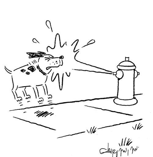 Dog gets sprayed by hydrant.