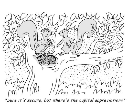 'Sure it's secure, but where's the capital appreciation?'
