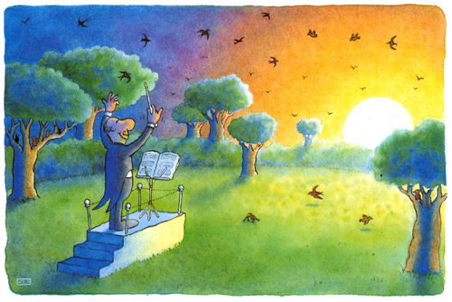Conducting the Dawn Chorus.