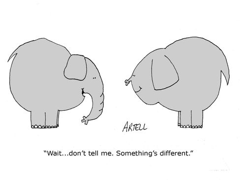 Elephant to elephant with 'nose job.' 'Wait, don't tell me. Something's different.'