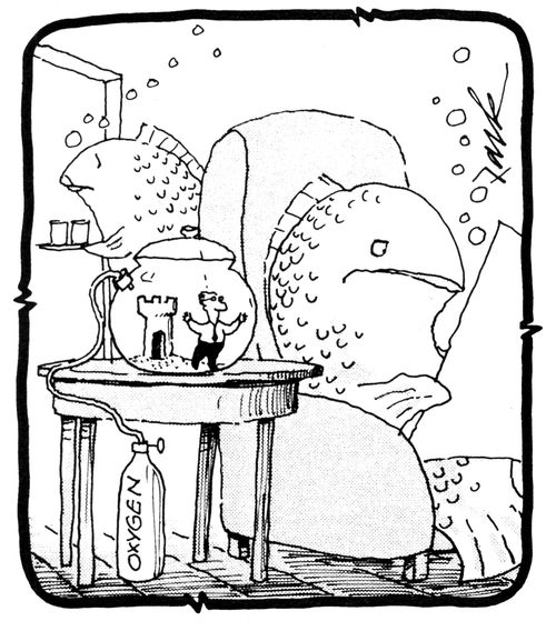 Fish with a human in a bowl.