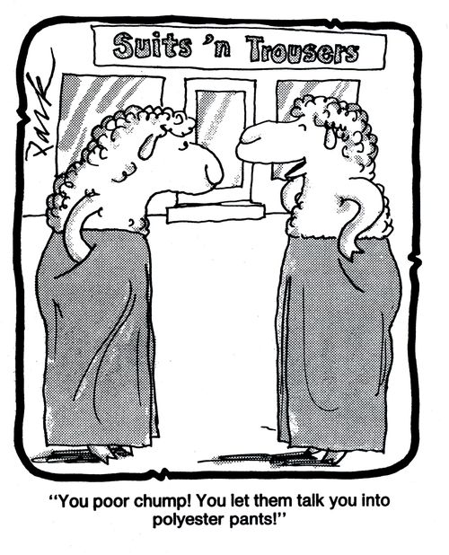 'You poor chump! You let them talk you into polyester pants!'