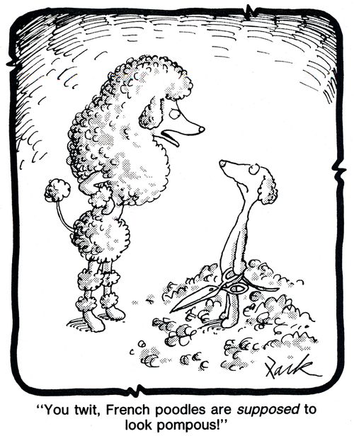 'You twit, French poodles are supposed to look pompous!'