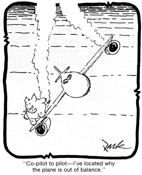 'Co-pilot to pilot - I've located why the plane is out of balance.'
