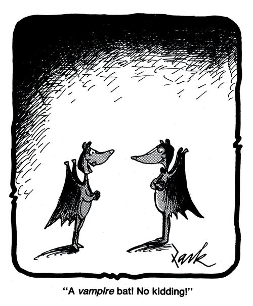 'A vampire bat! No kidding!'