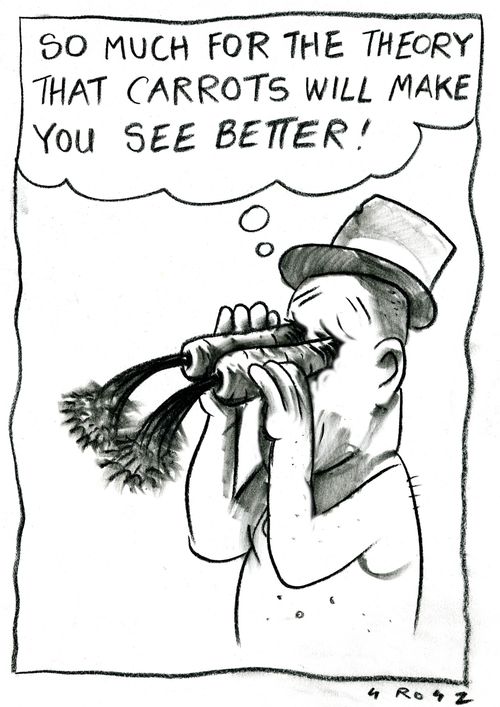 'So much for the theory that carrots will make you see better!'