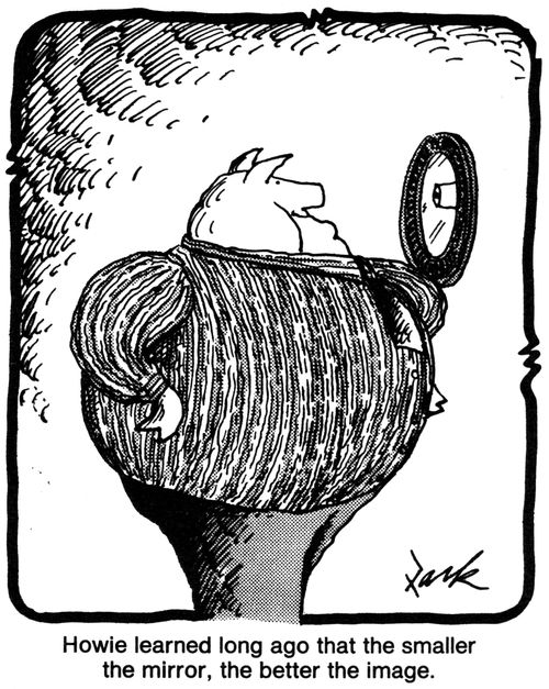 'Howie learned long ago that smaller the mirror, the better the image.'