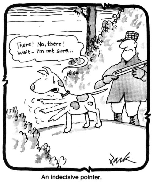 'An indecisive pointer.'