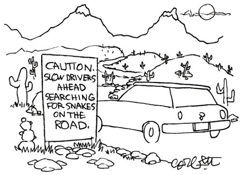 Caution.  Slow drivers ahead searching for snakes on the road.