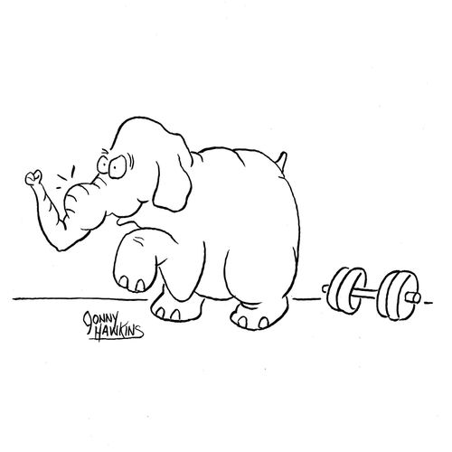 Elephant lifts weight gains trunk muscle...