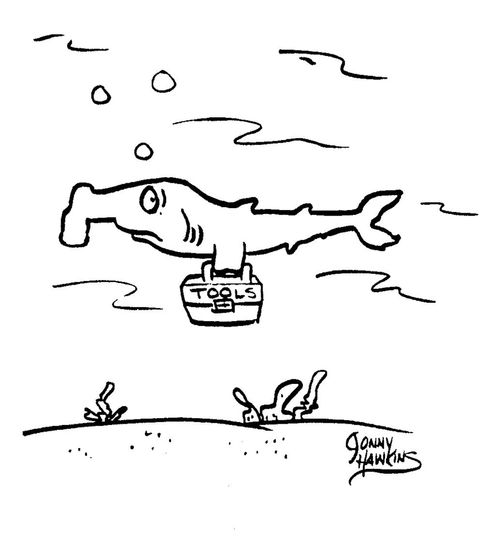 Hammerhead shark carrying toolbox.