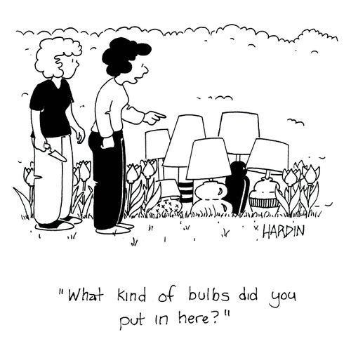 'What kind of bulbs did you put in here?'