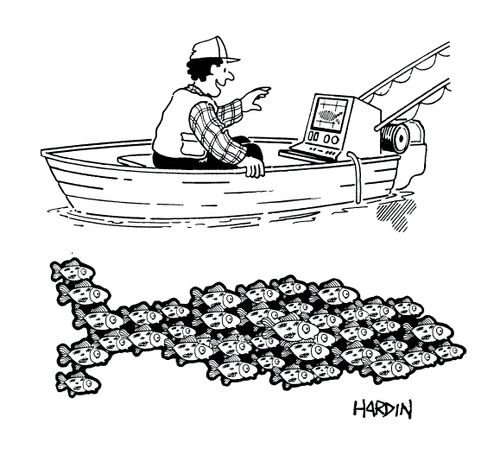 Man sees large fish shape on sonar, made up by a shoal of small fish.