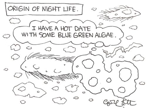 Origin of night life: 'I have a hot date with some Blue Green algae.'