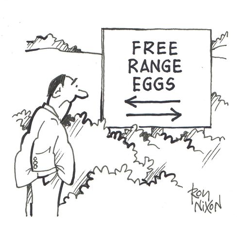 Notice Board - Free Range Eggs with arrows pointing in opposite directions