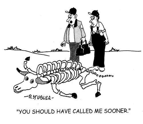 'You should have called me sooner.'