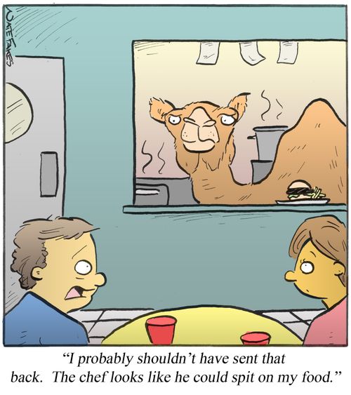 ". . . The chef looks like he could spit on my food."