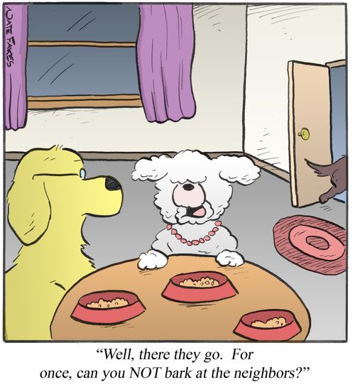 "...For once, can you NOT bark at the neighbors?"