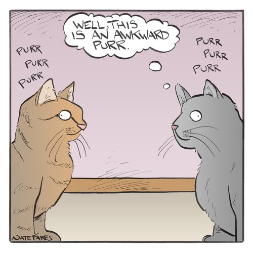"Well, this is an awkward purr."