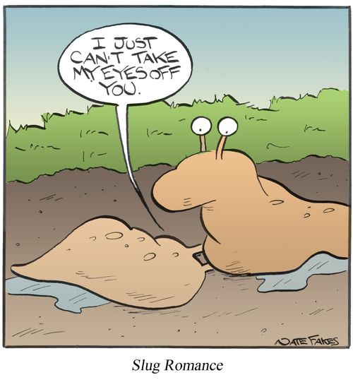 Slug Romance