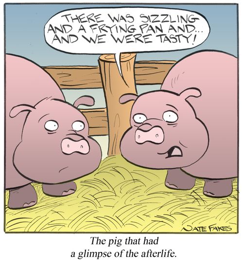 The pig that had a glimpse of the afterlife.