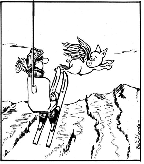 Flying Pigs