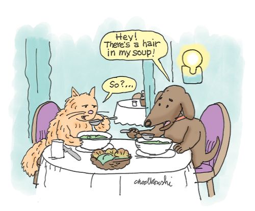 "Hey! There's a hair in my soup!"