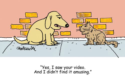 "Yes, I saw your video. And I didn't find it amusing."