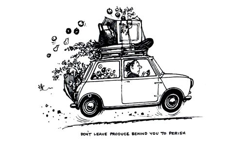 The Gardener's Holiday: Don't leave produce behind you to perish.