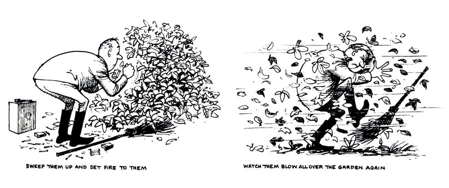 Sweep them up and set fire to them...watch them blow all over the garden again.
