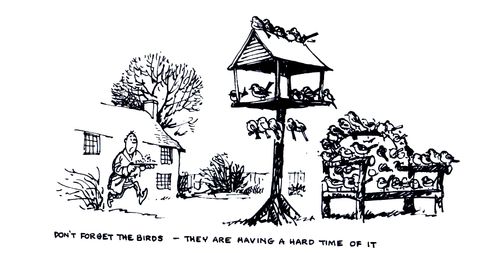 Don't forget the birds - they are having a hard time of it.