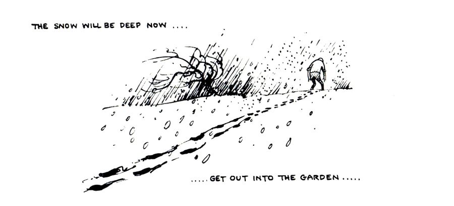 Gardening Calendar: January - The Snow will be deep now...get out into the garden...
